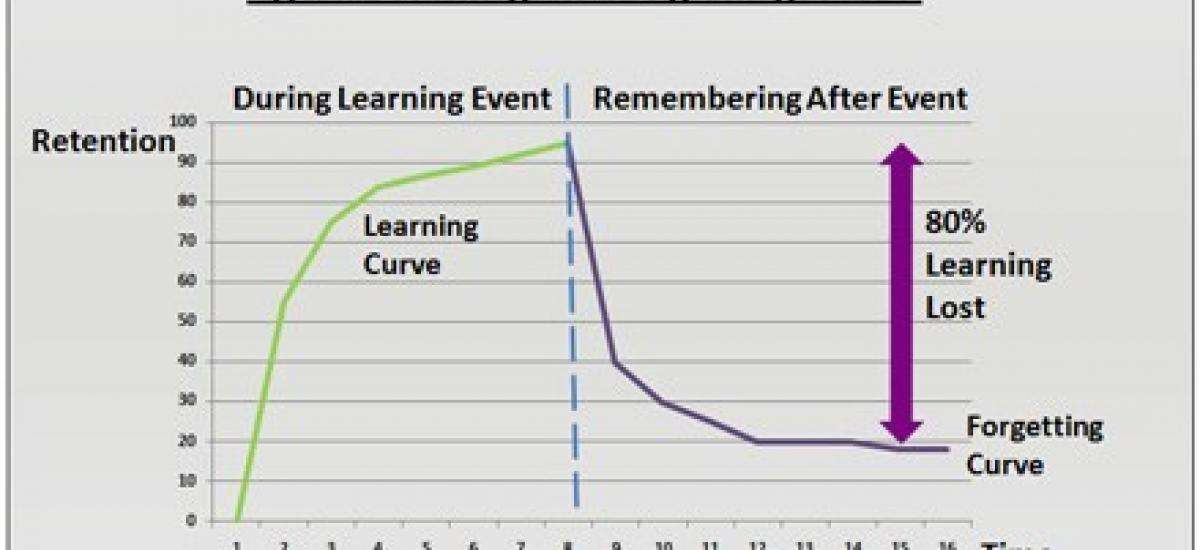 Trends of knowledge retention at 6 months after class for the game and