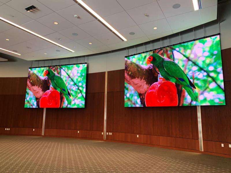 Ceiling-Hung Video Wall